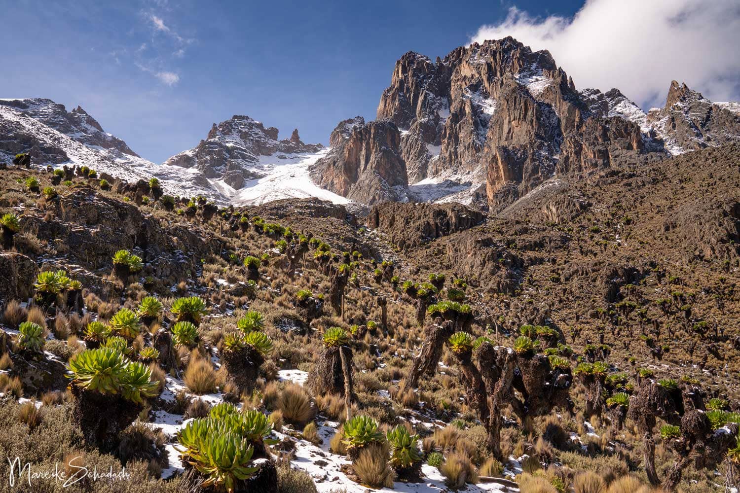 Climbing Mount Kenya
